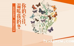 11月精彩